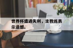 米兰捕鱼-世界杯遭遇失利，主教练表示遗憾。